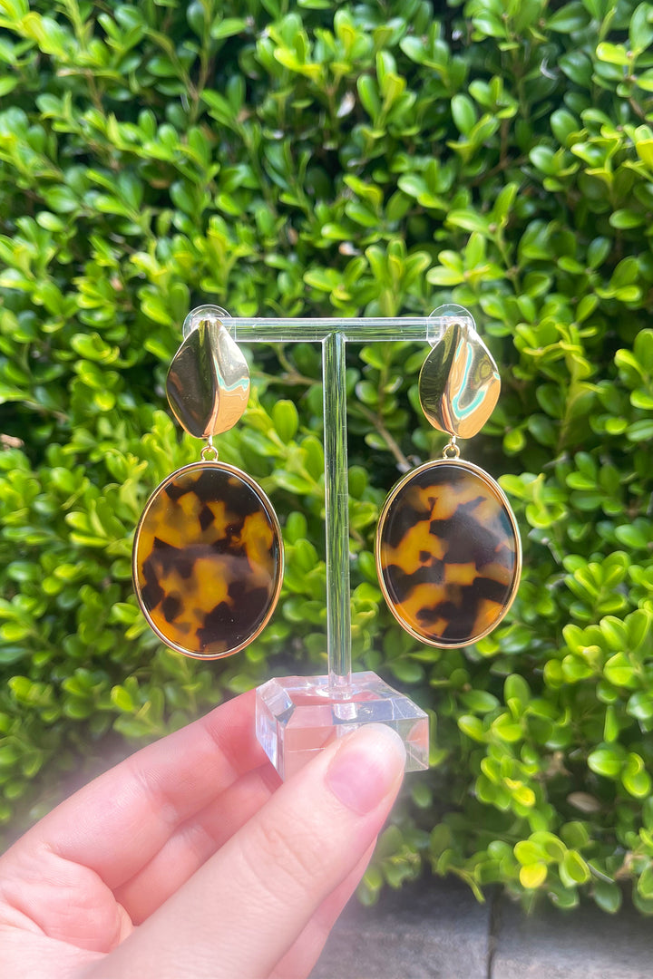 Akira Tortoise Shell Earrings in Gold
