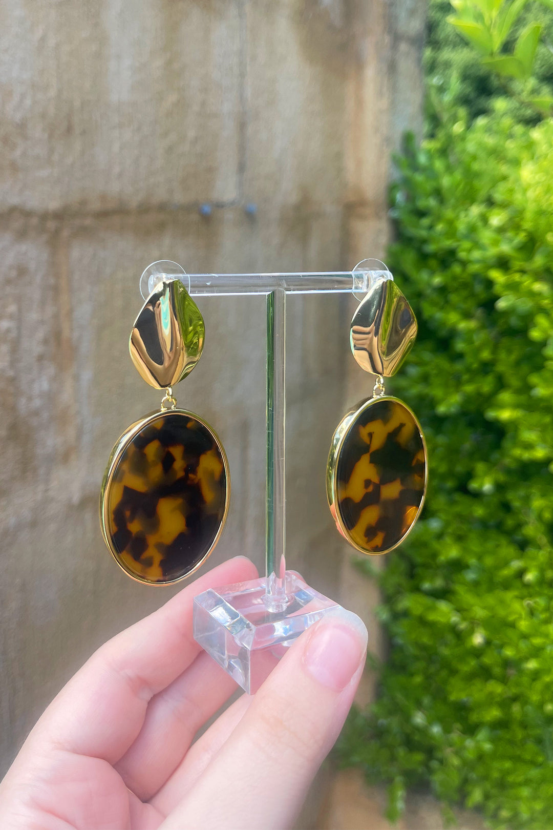 Akira Tortoise Shell Earrings in Gold
