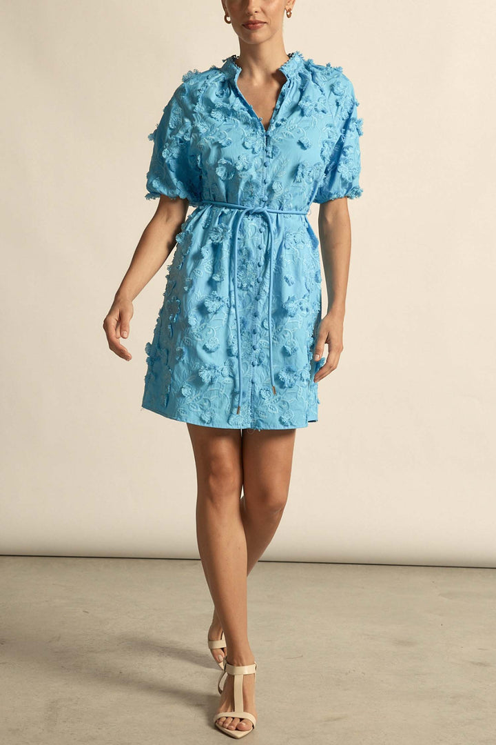 Aspect Dress in Bay Broderie