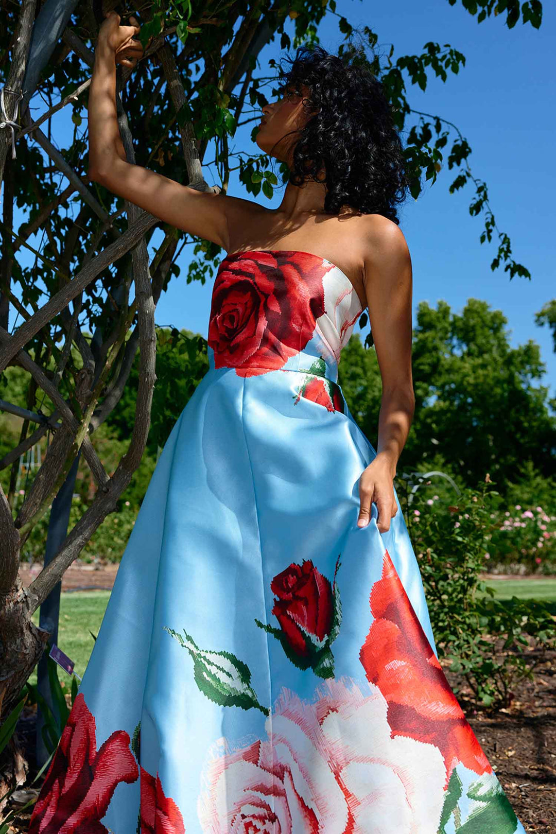 Audrey Gown in Artic Rose