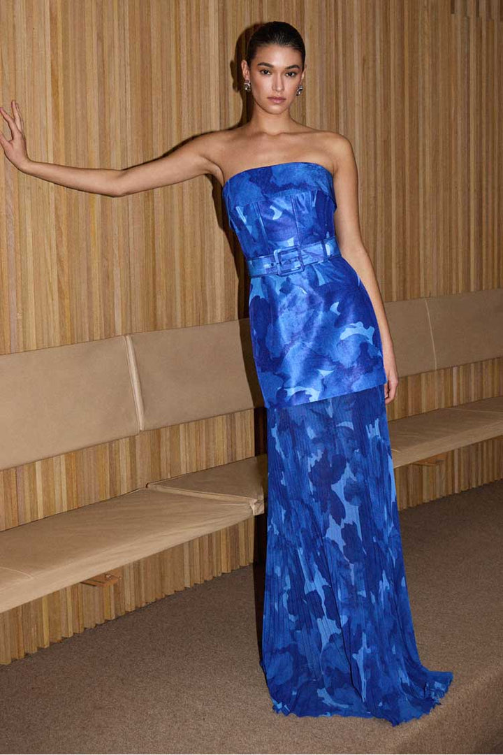 Azula Printed Sleeveless Maxi Dress