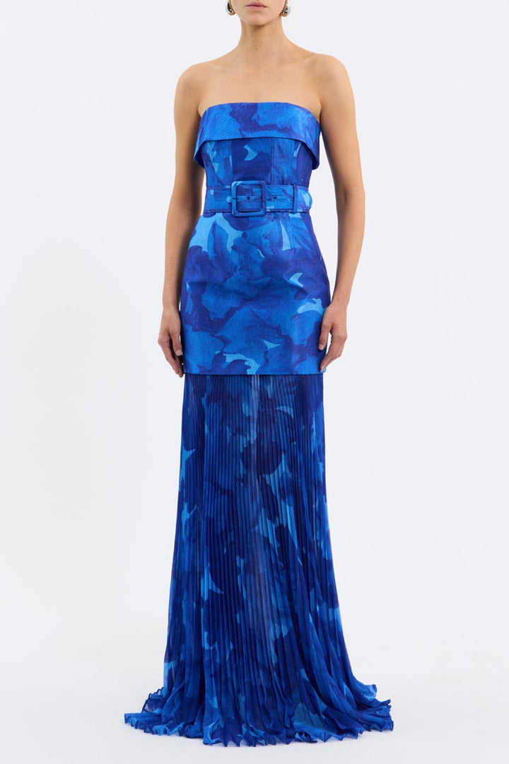 Azula Printed Sleeveless Maxi Dress