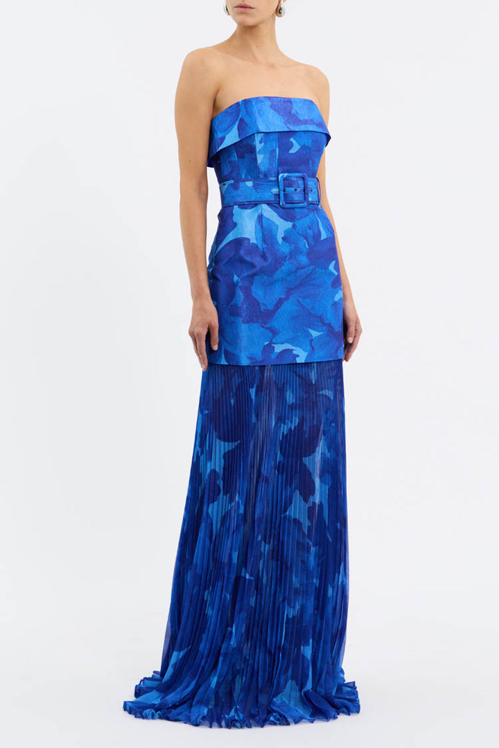 Azula Printed Sleeveless Maxi Dress