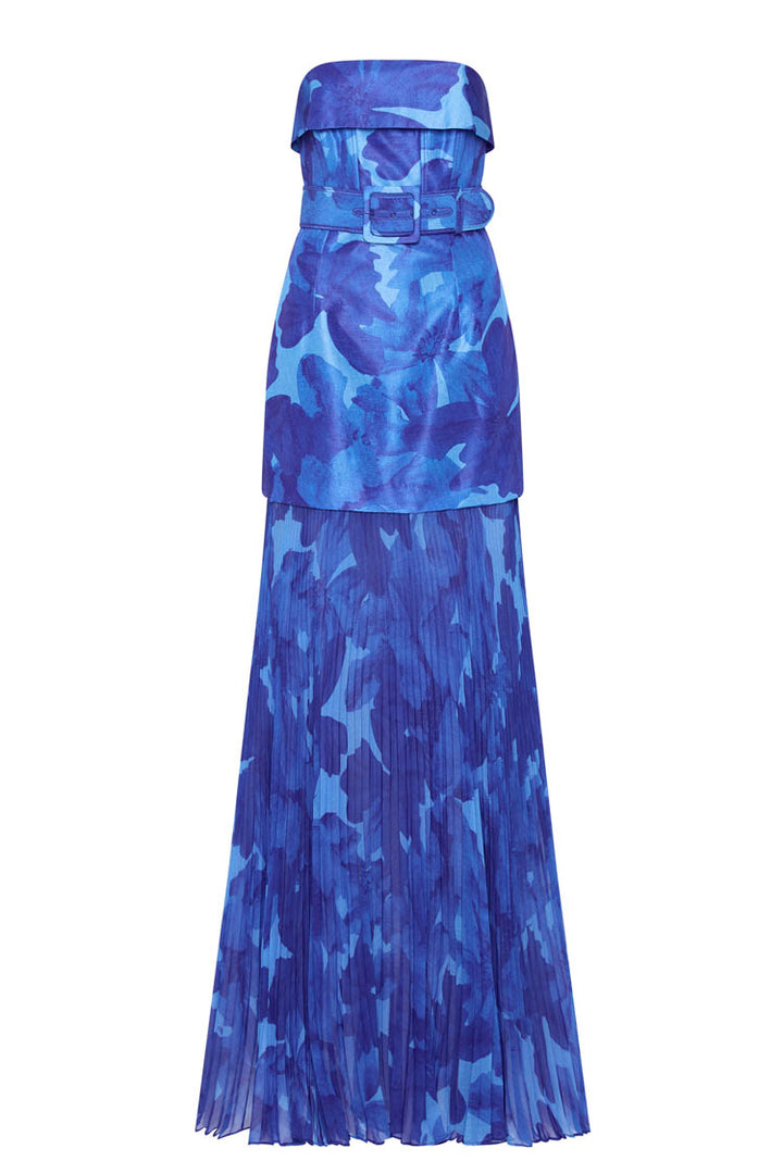 Azula Printed Sleeveless Maxi Dress