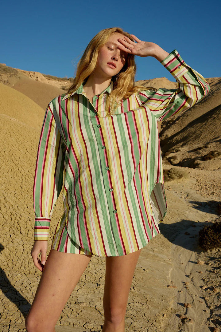 Buddy Shirt in Meadow Stripe