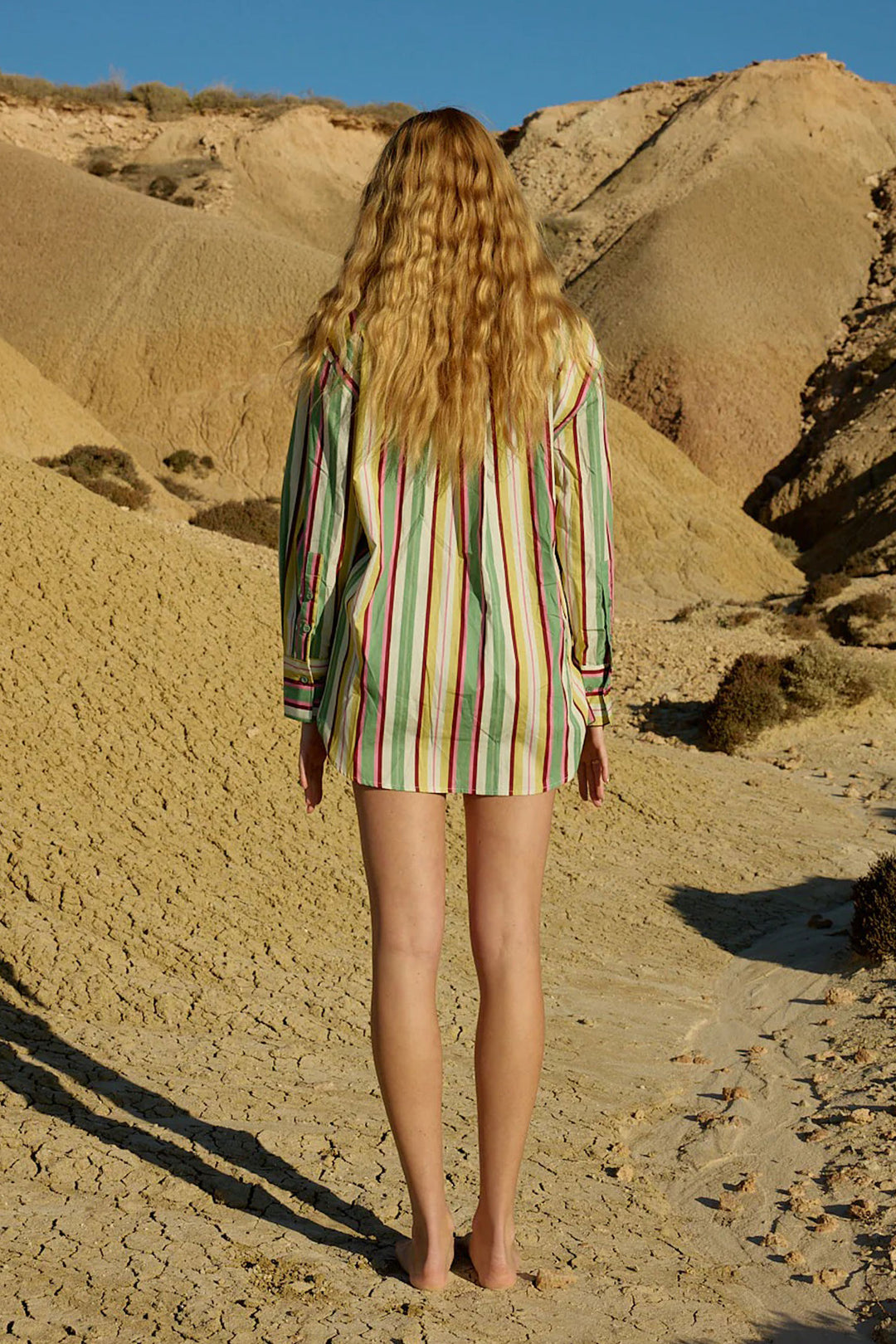 Buddy Shirt in Meadow Stripe