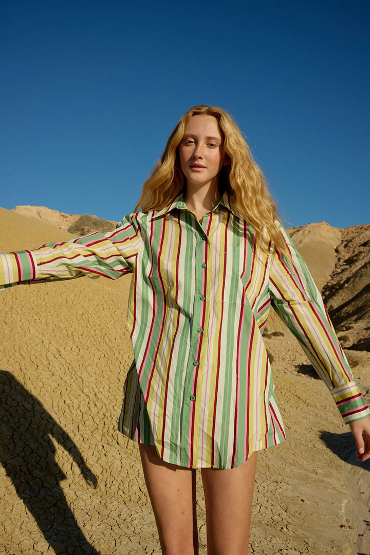 Buddy Shirt in Meadow Stripe