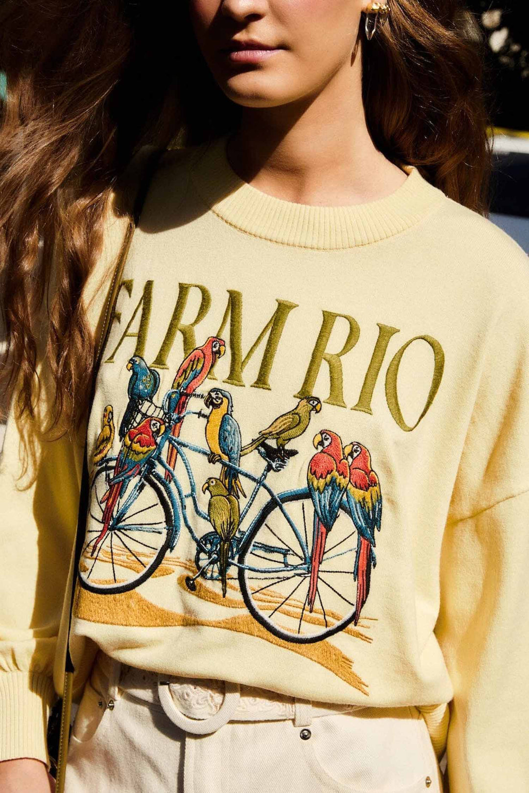 Birds Bicycle Embroidery Sweater in Yellow