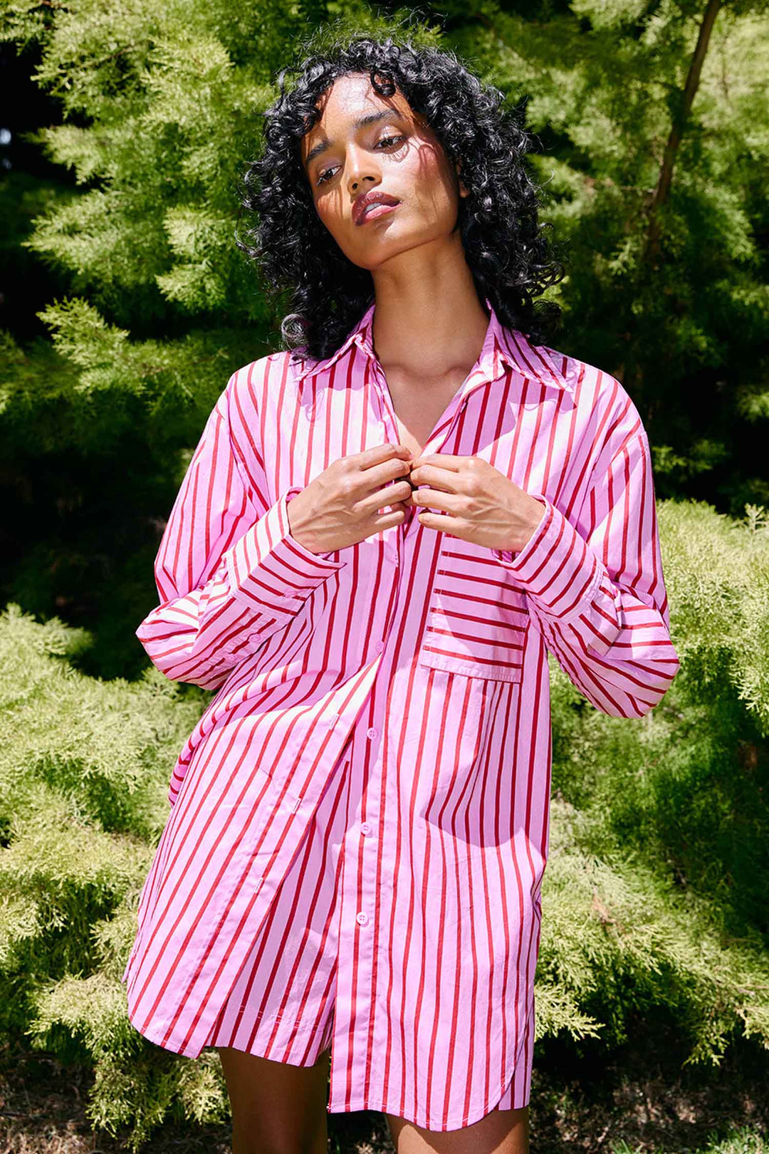 Buddy Shirt in Magenta Stripe