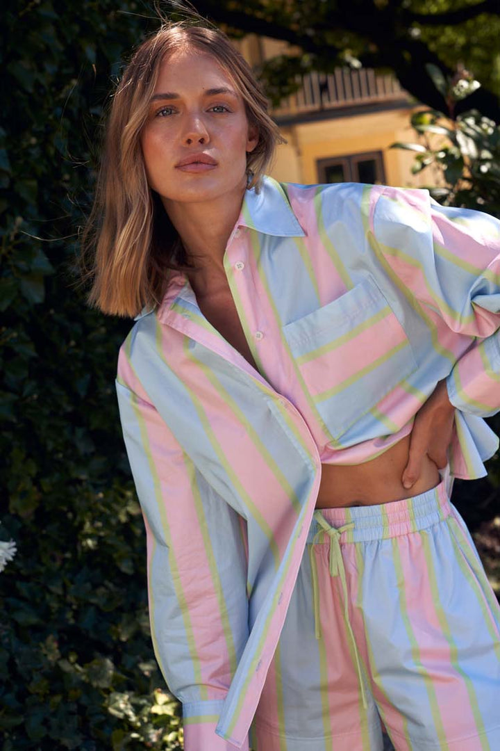Buddy Shirt in Powder Stripe