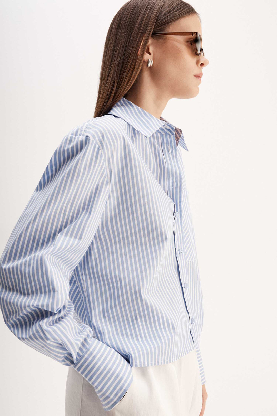 Dash Stripe Shirt in Blue Stripe