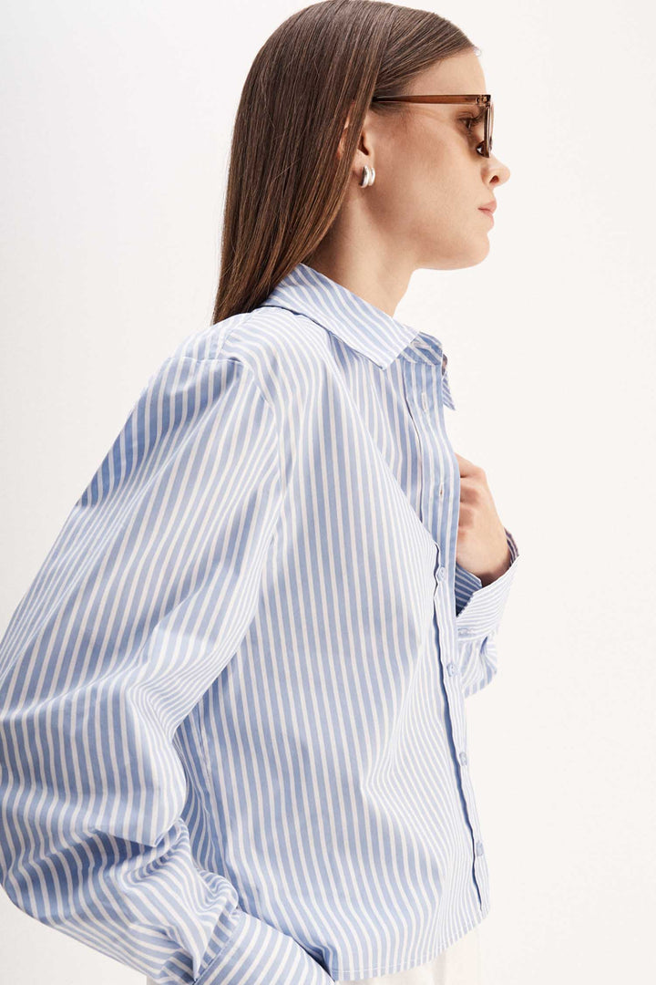 Dash Stripe Shirt in Blue Stripe