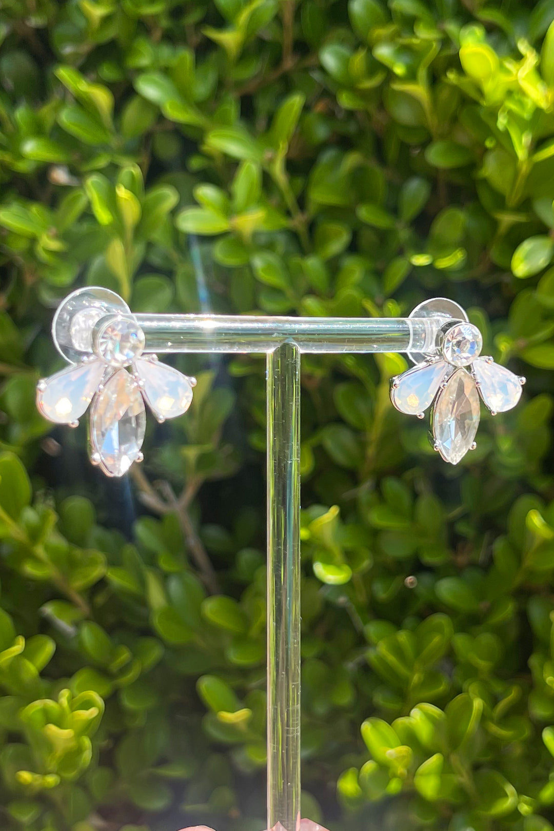 Angela Crystal Earrings in Clear Misty White