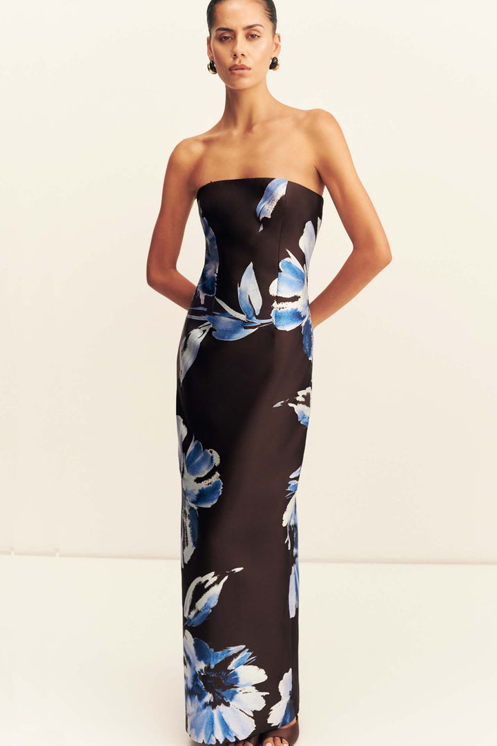 Elsa Panelled Strapless Maxi Dress in Espresso/ Blue
