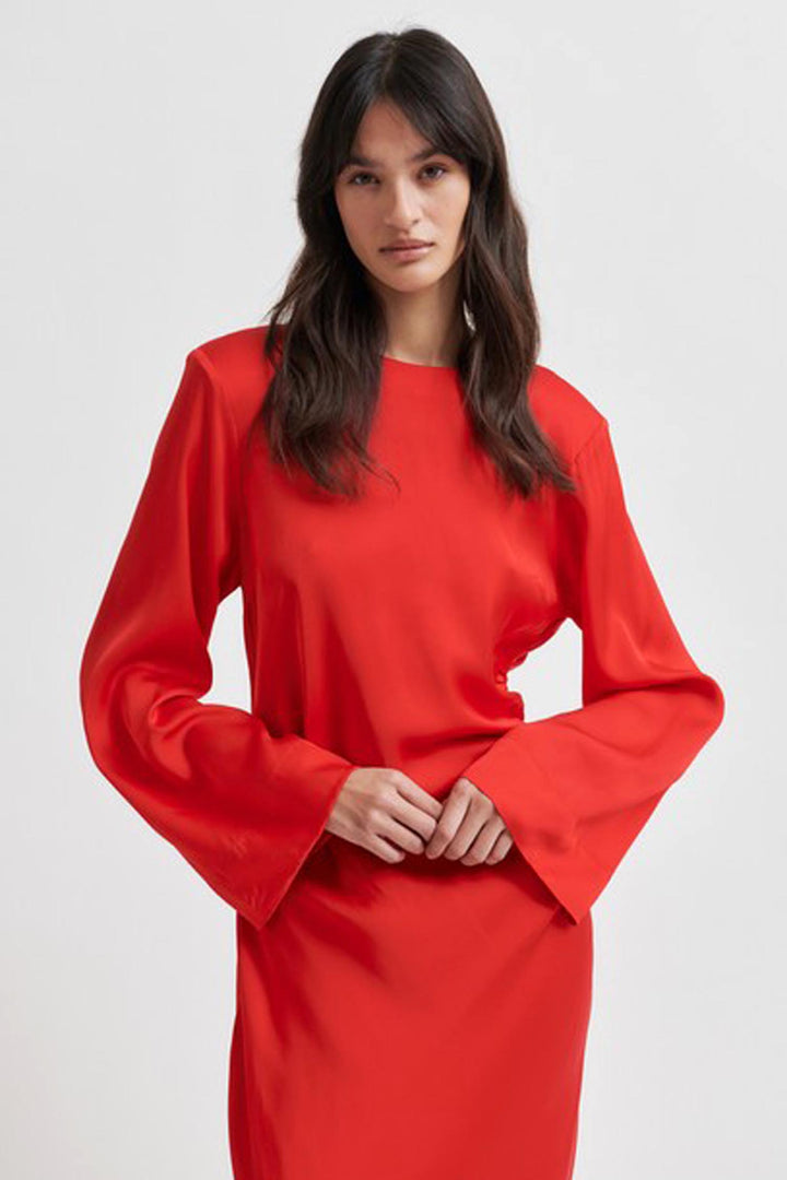 Ermine Dress in Goji Berry