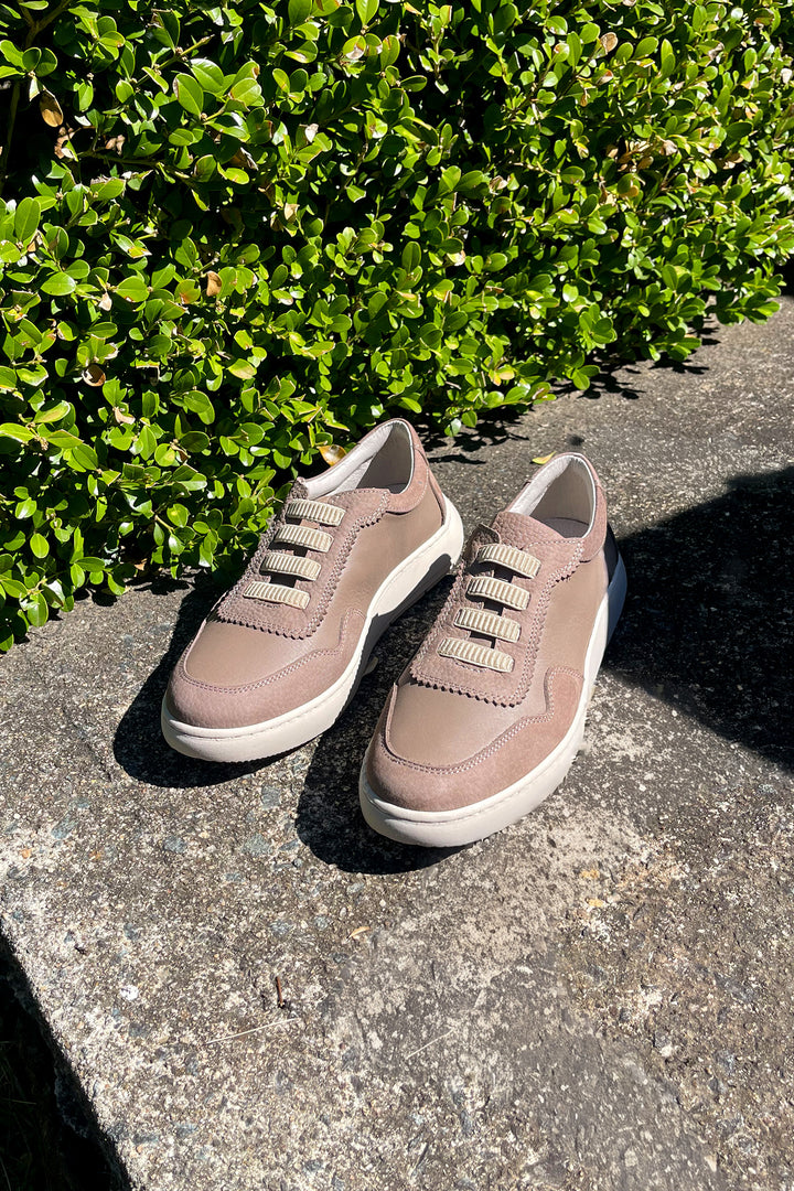Eve Leather Suede Sneaker in Dark Stone