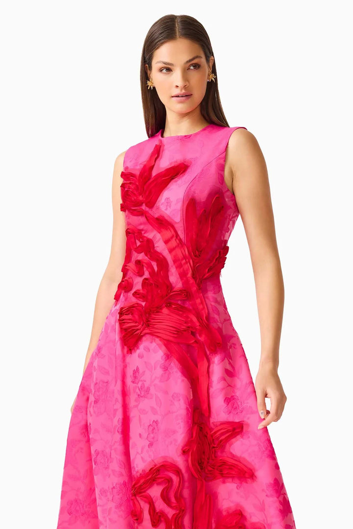 Florentia A Line Maxi Dress in Pink Red