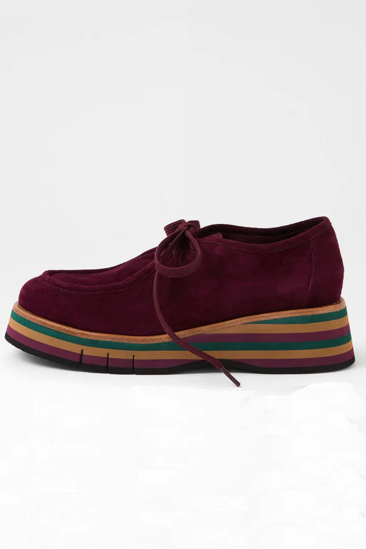 Gnota Suede Lace Up Flats in Burgundy Forest Tan