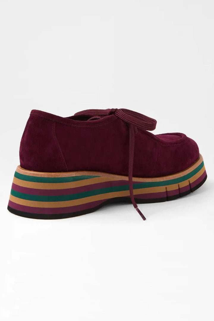 Gnota Suede Lace Up Flats in Burgundy Forest Tan