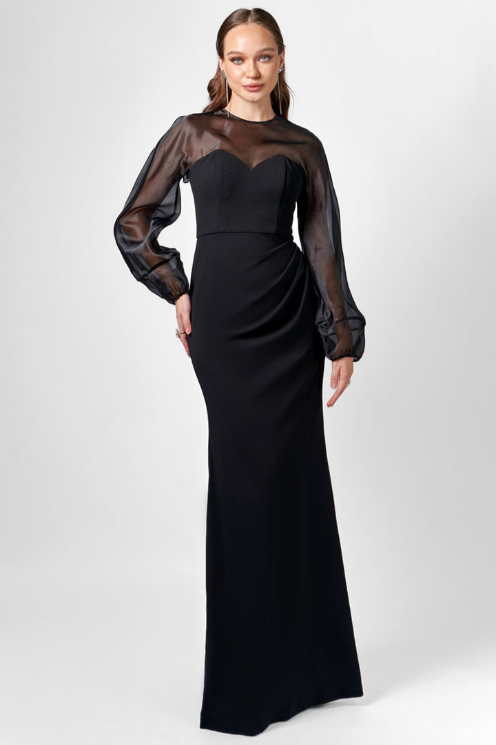Gracelynn Sheer Sleeve Maxi Dress