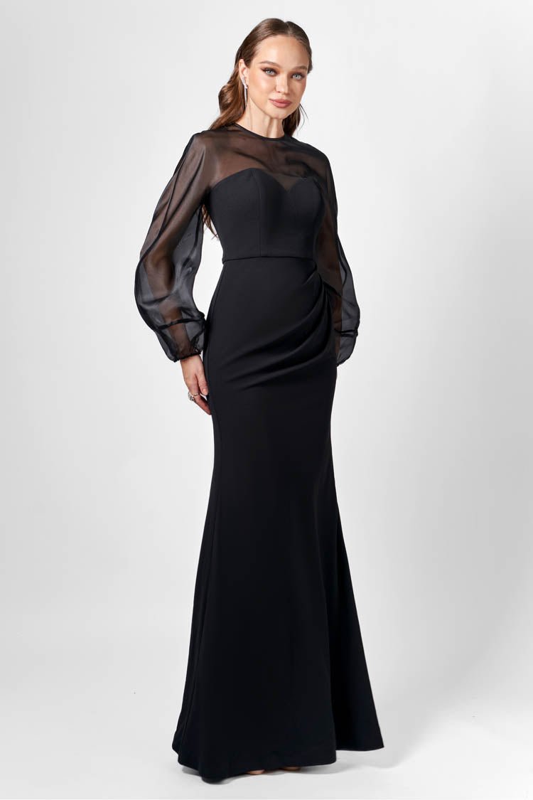 Gracelynn Sheer Sleeve Maxi Dress