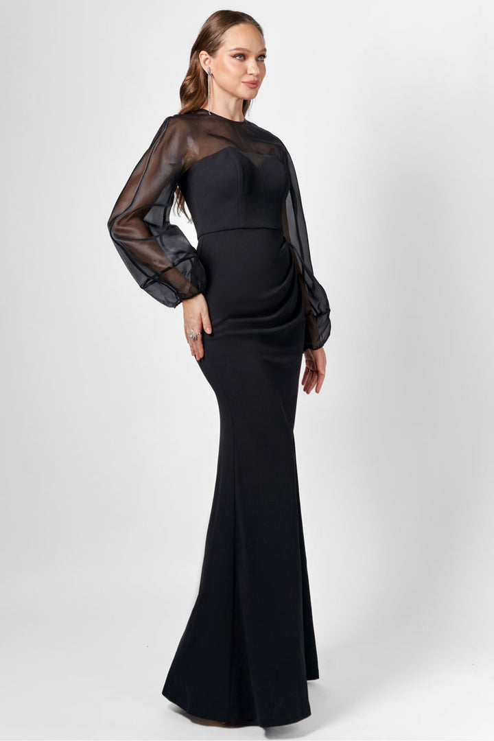 Gracelynn Sheer Sleeve Maxi Dress