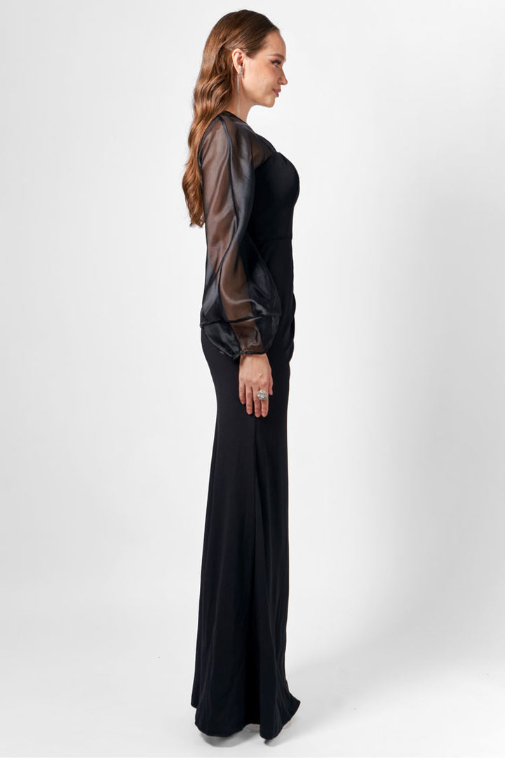Gracelynn Sheer Sleeve Maxi Dress