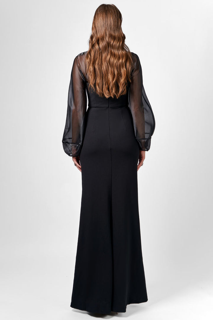 Gracelynn Sheer Sleeve Maxi Dress