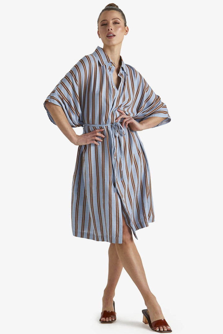 Grounded Shirt Dress in Stripes