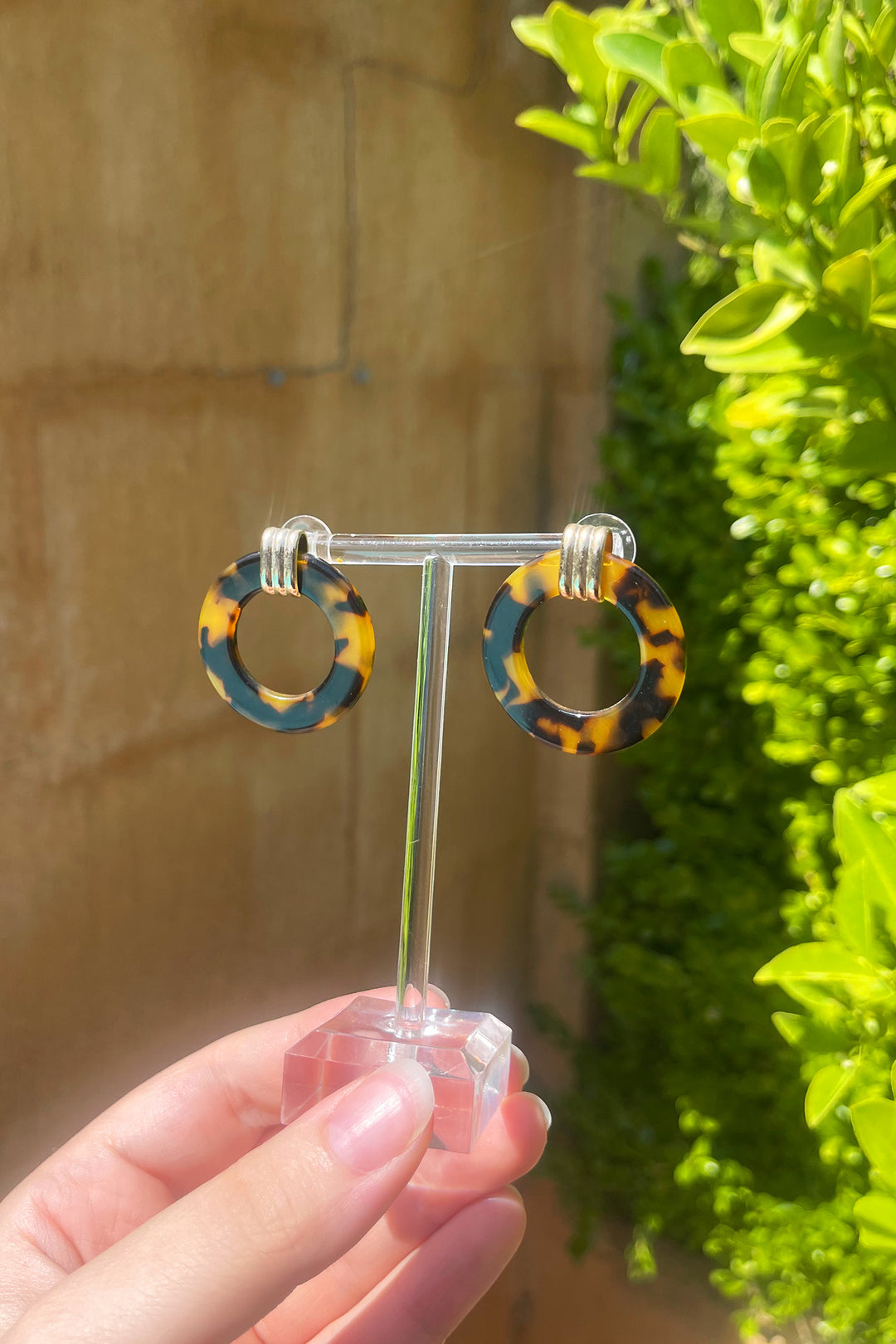 Hazel Tortoise Shell Earrings in Gold
