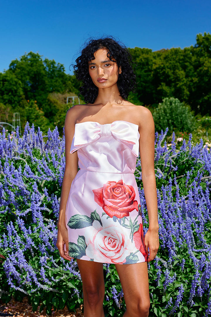 Olivia Mini Dress in Baby Rose