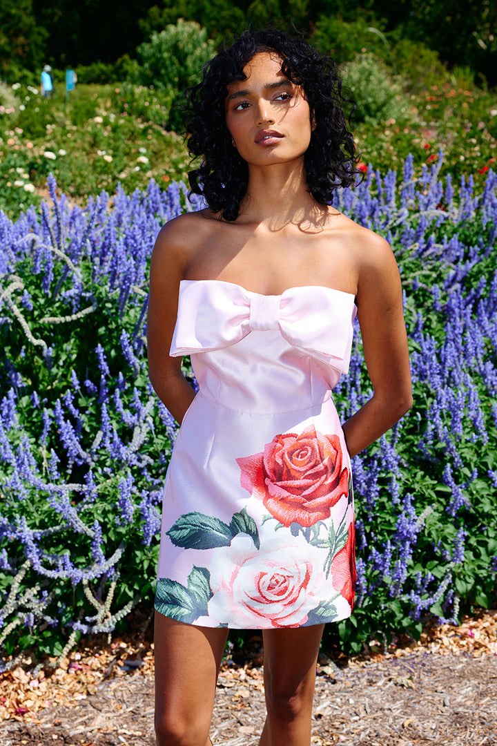 Olivia Mini Dress in Baby Rose