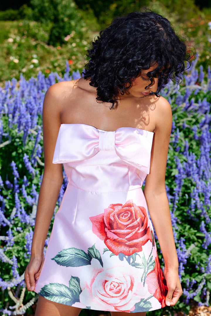 Olivia Mini Dress in Baby Rose