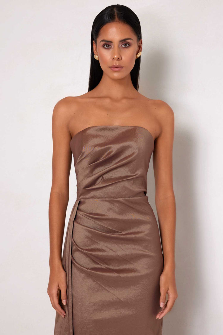 Paulina Strapless Maxi Dress in Cocoa