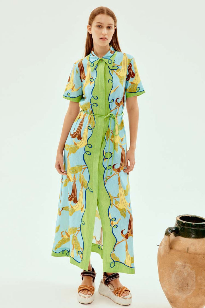 Rafaela Shirtmaker Dress main image 0