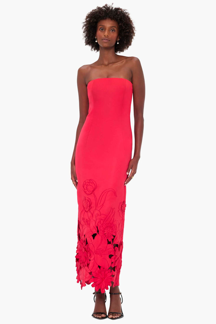 Rayna Applique Bustier Maxi Dress - Rosa