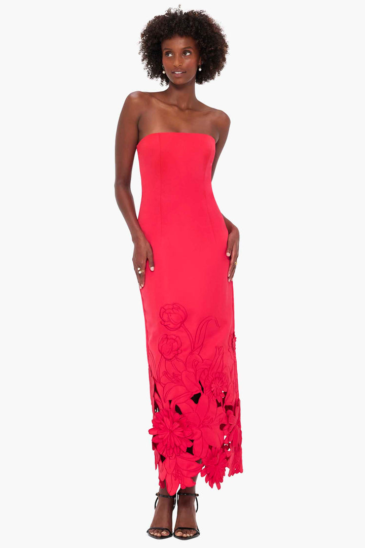 Rayna Applique Bustier Maxi Dress - Rosa