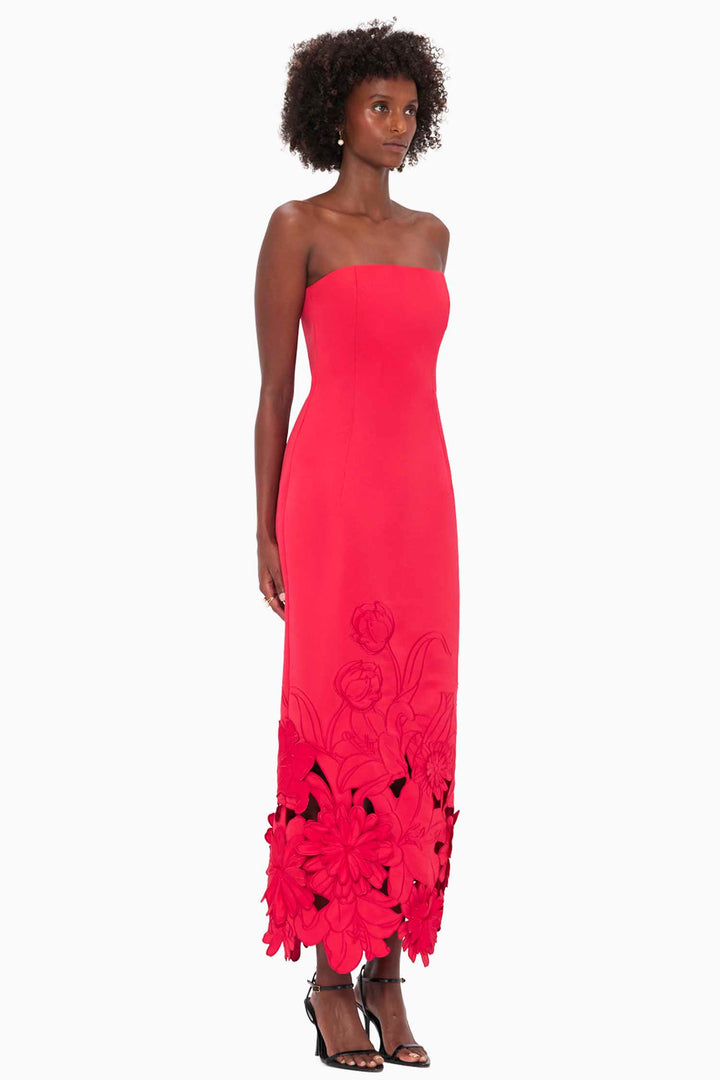 Rayna Applique Bustier Maxi Dress - Rosa