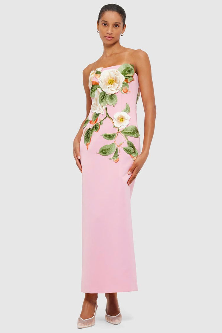 Rayna Applique Floral Bustier Maxi Dress - Camelia Print