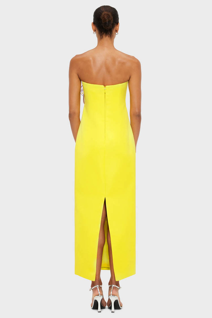 Rayna Applique Floral Maxi Dress - Iris Print in Yellow