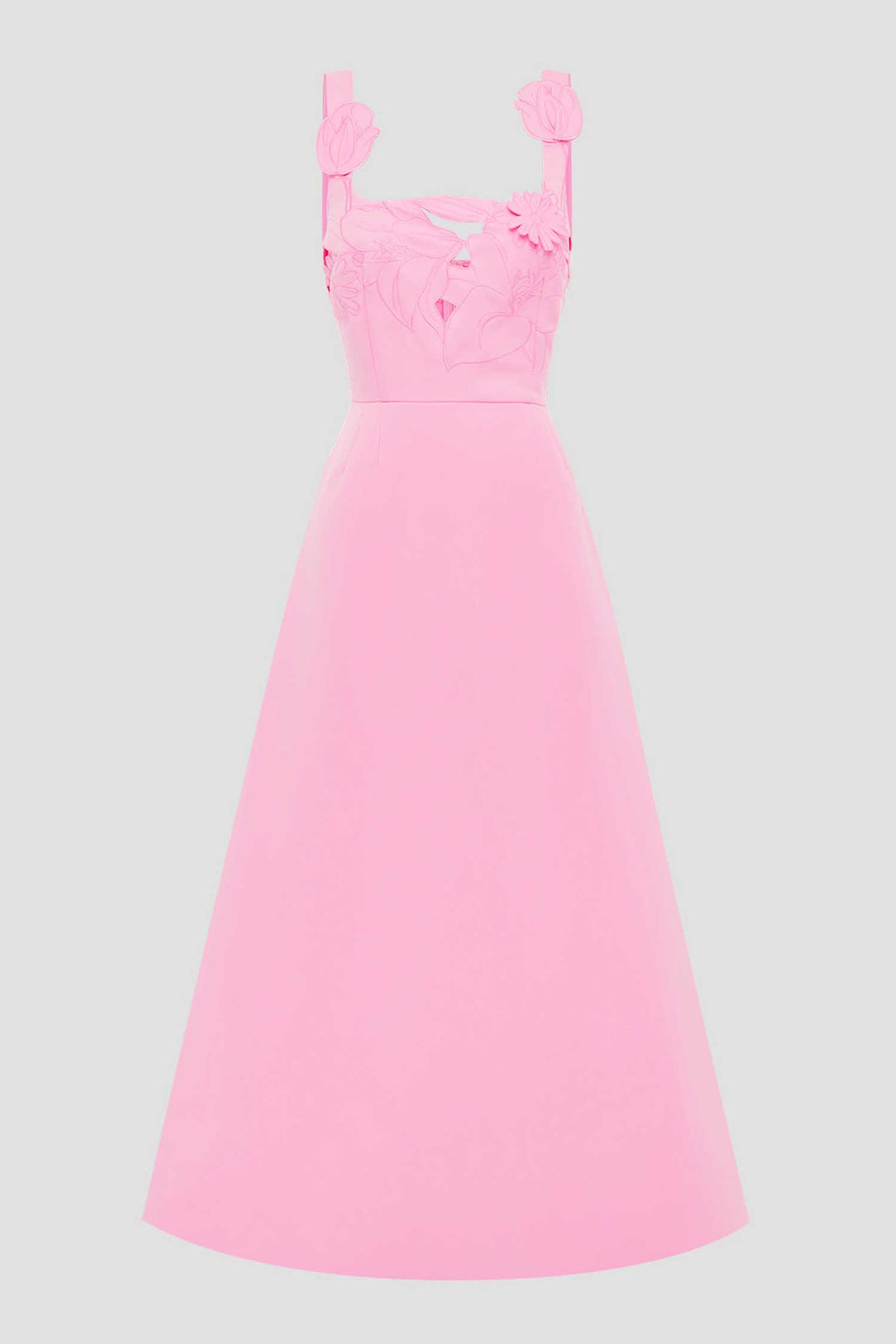 Rianne Applique Maxi Dress in Baby Pink