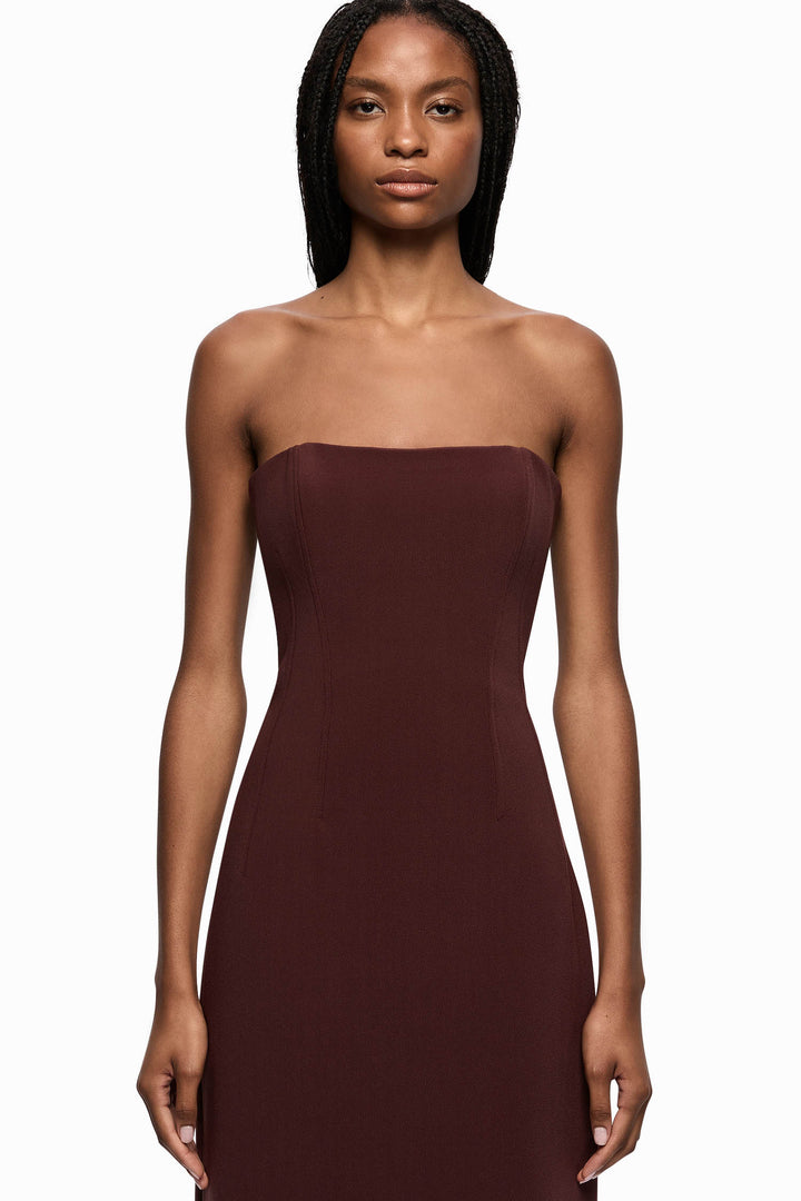 Romee Strapless Maxi Dress in Raisin