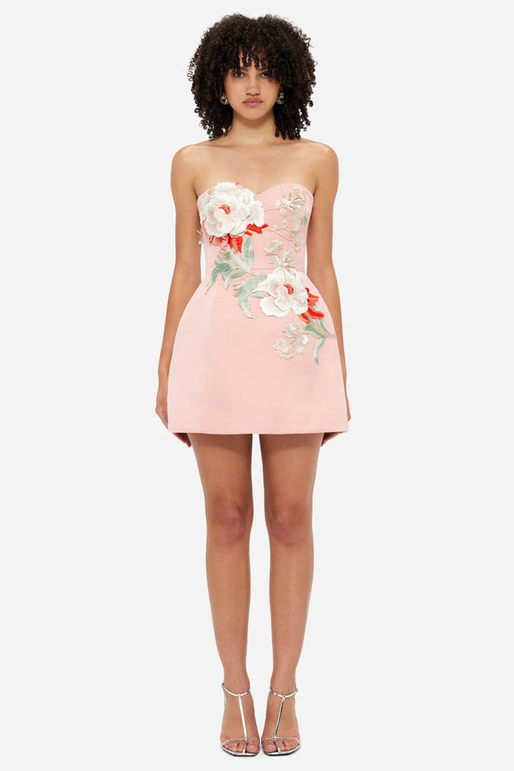 Rosario Applique Bustier Mini Dress - Peony Print