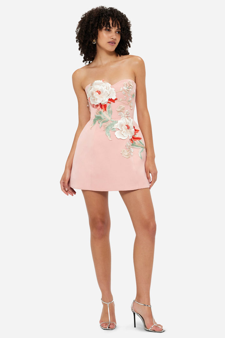 Rosario Applique Bustier Mini Dress - Peony Print