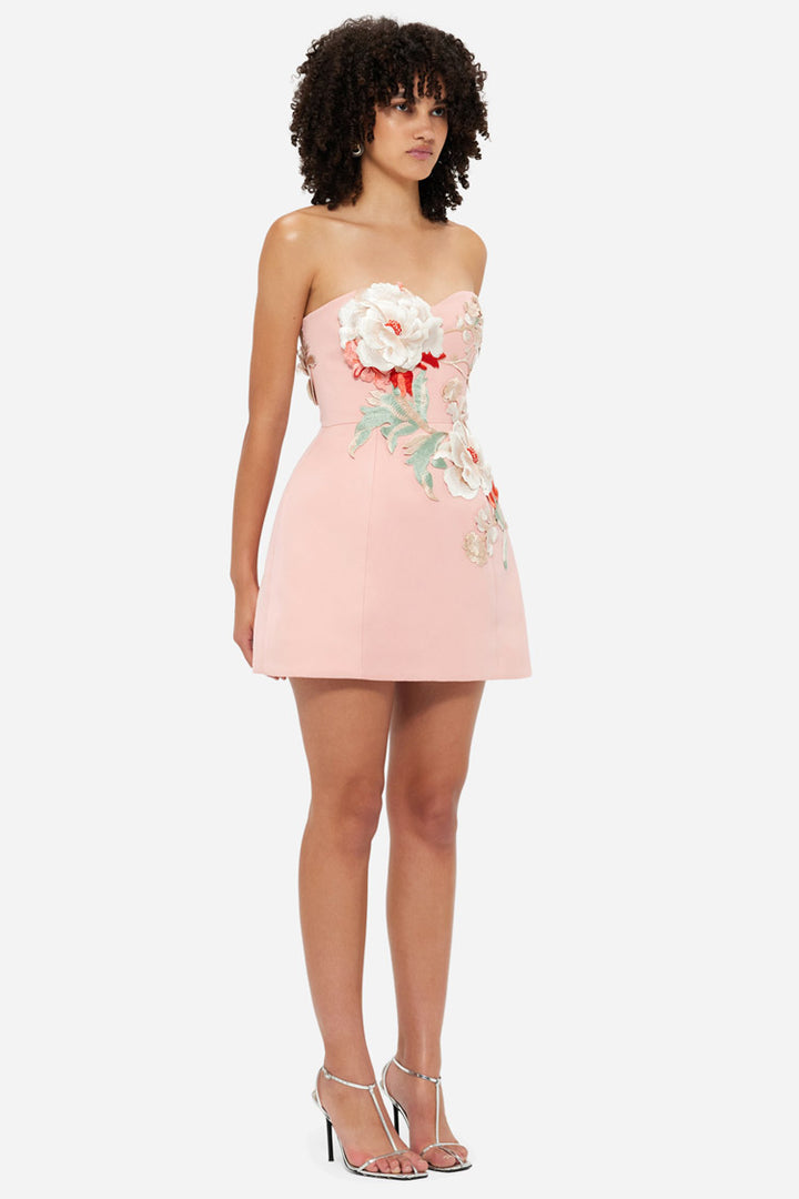 Rosario Applique Bustier Mini Dress - Peony Print