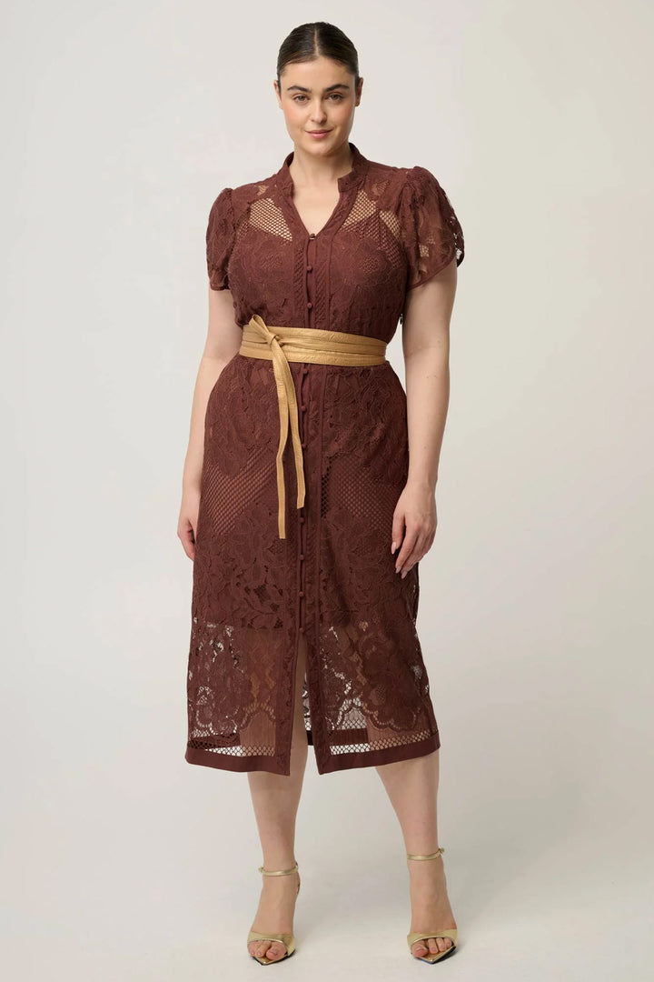 Solene Placement Lace Dress in Rosewood