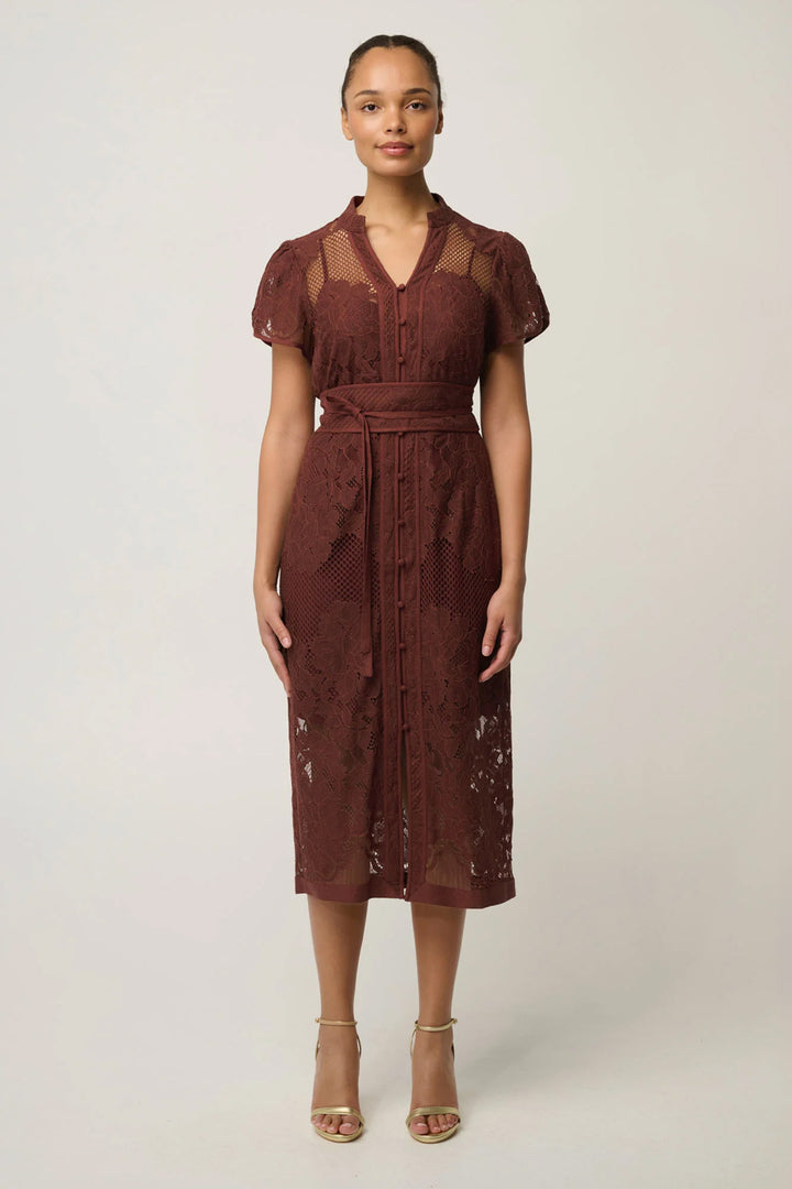 Solene Placement Lace Dress in Rosewood