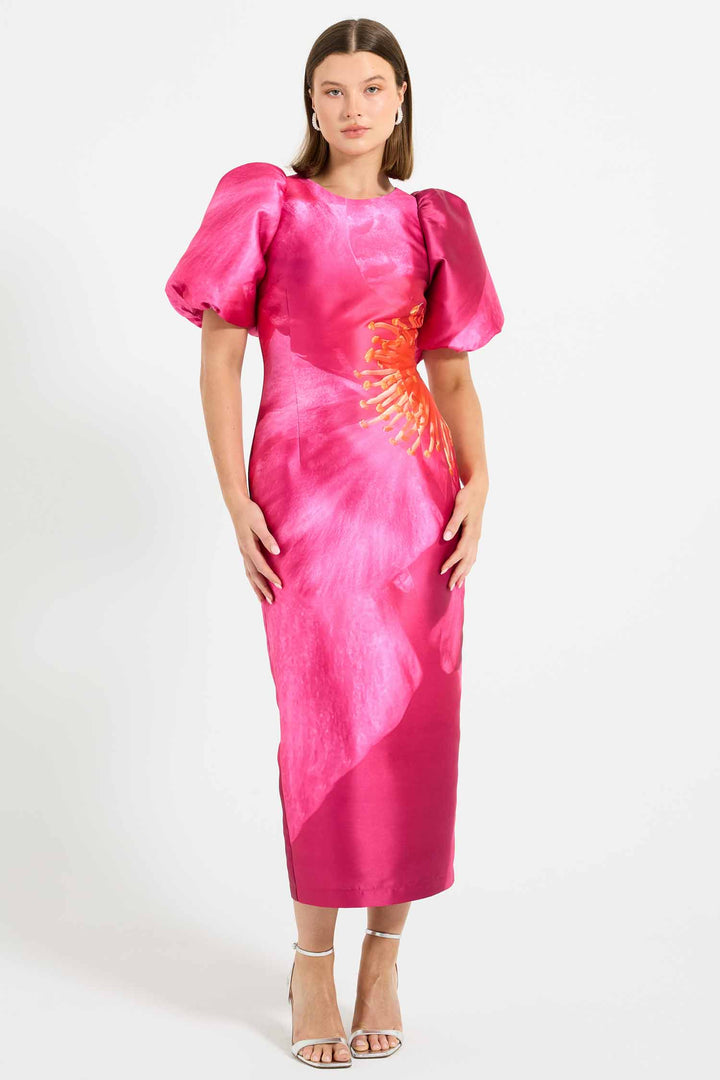 Thea Sleeve Midi Dress in Pink Camilla