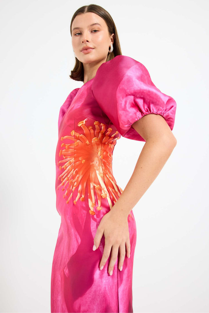 Thea Sleeve Midi Dress in Pink Camilla