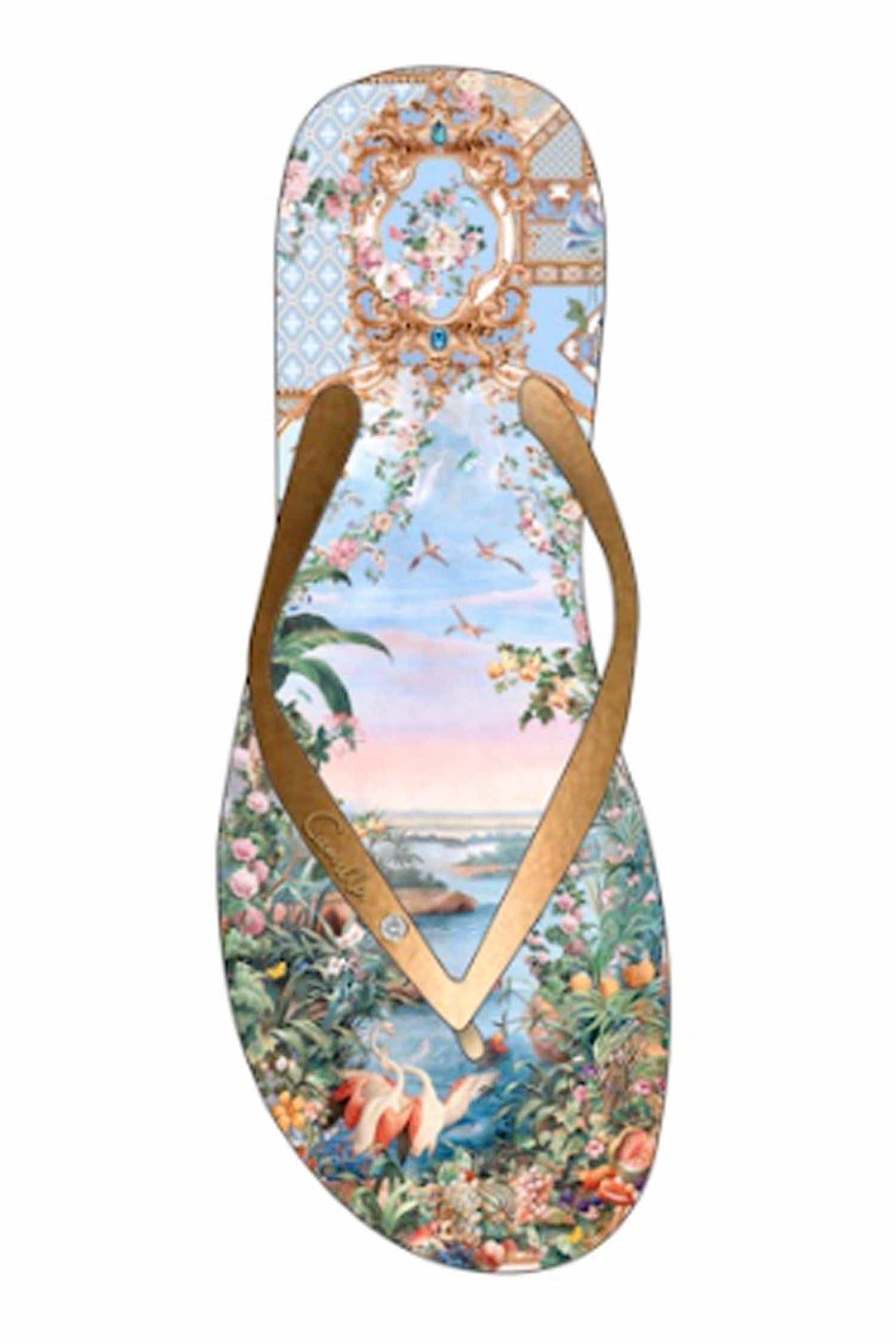 Thongs in Sisi Society 